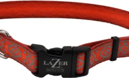 COASTAL Lazer Brite Patterned Collar